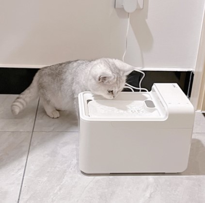 lunvon pet drinking fountain