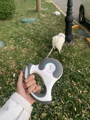 retractable yard leash